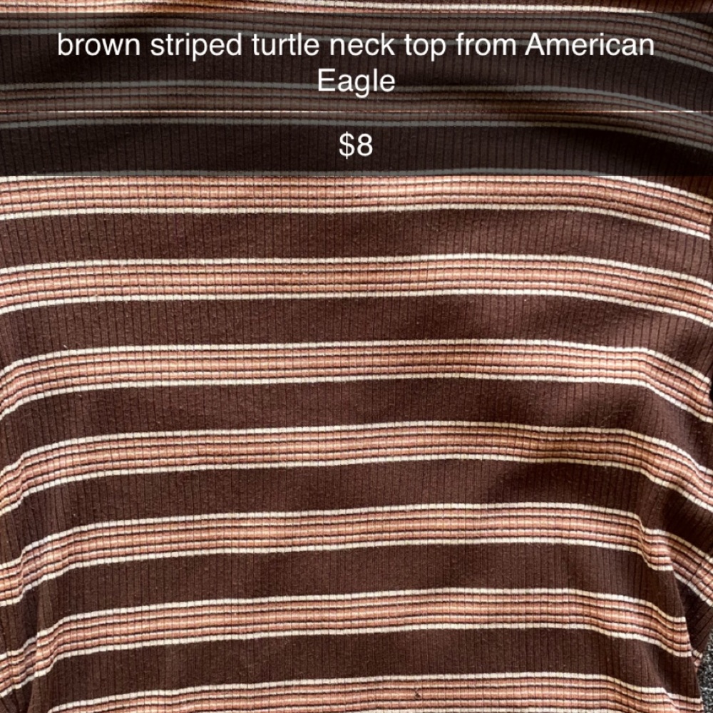 brown striped turtle neck